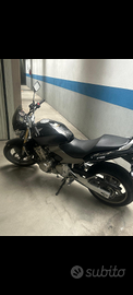 Honda Hornet