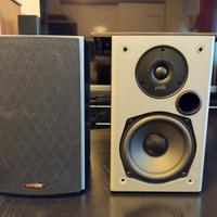 Diffusori POLK AUDIO M10