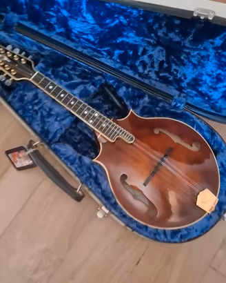 mandolino a due punte 