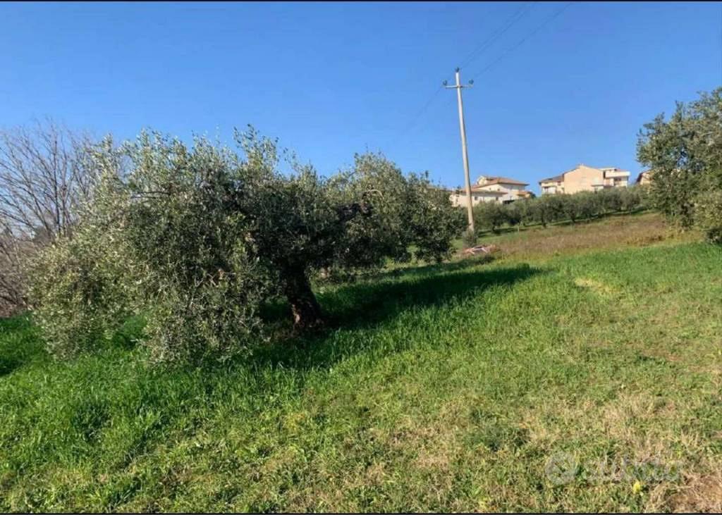 Immobile in asta di 2560 m² a Sant'Elpidio a Mare - Altro