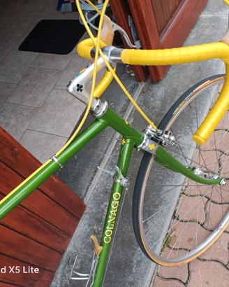 colnogo Fiore 1972.