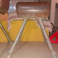 🐎 CAVALLINA GINNASTICA VINTAGE ELAN 