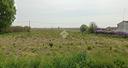 ter-agricolo-a-adria
