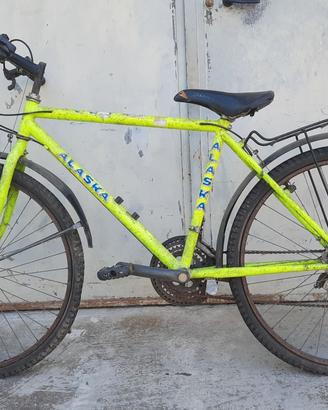 bicicletta grande