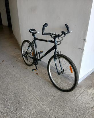 Bici uomo