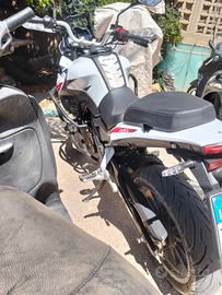 Trk 251 2019 come nuova