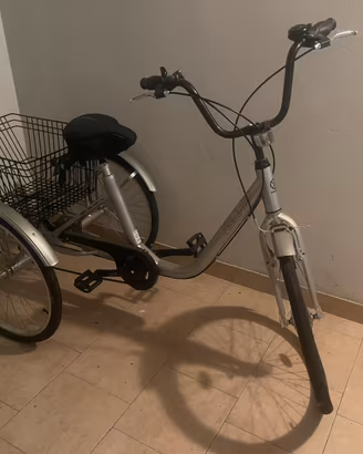 Triciclo da passeggio per adulti Koliken