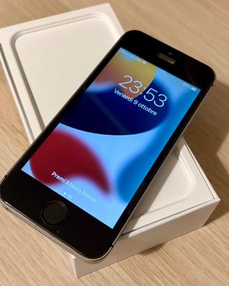 iPhone SE 1st Gen 4"
