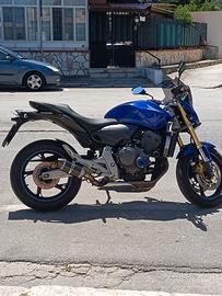 Honda hornet