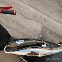 marmitta leo vince zx piaggio