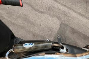 marmitta leo vince zx piaggio