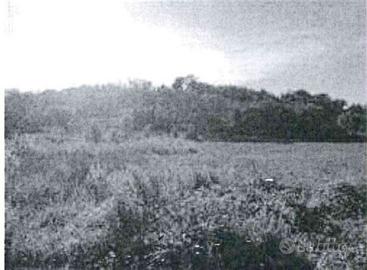 RG 540/2023 - Tribunale di Urbino