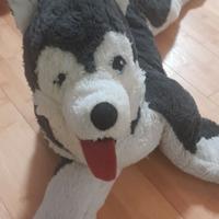 Peluche cane husky