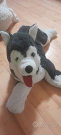 Peluche cane husky
