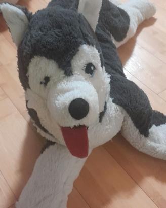 Peluche cane husky