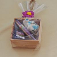 Set di bastoncini di incenso aromatico