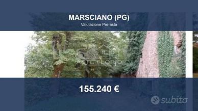 Immobile in asta di 47479 m² a Marsciano