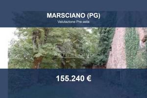 Immobile in asta di 47479 m² a Marsciano
