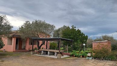 Casa in campagna con oliveto