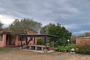 Casa in campagna con oliveto