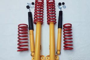 Kit Assetto Ribassato -30 mm Ford Honda Mercedes