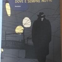 DOVE E' SEMPRE NOTTE - John Banville