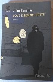 DOVE E' SEMPRE NOTTE - John Banville