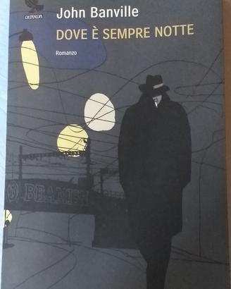 DOVE E' SEMPRE NOTTE - John Banville