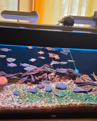 Acquario juwel Rio 180