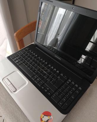 portatile Compaq prezzario c061