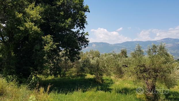 Terreno Agricolo adatto per Apicoltura con Acqua