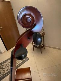 Violoncello