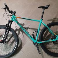 MTB  taglia XL