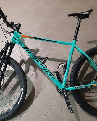 MTB  taglia XL