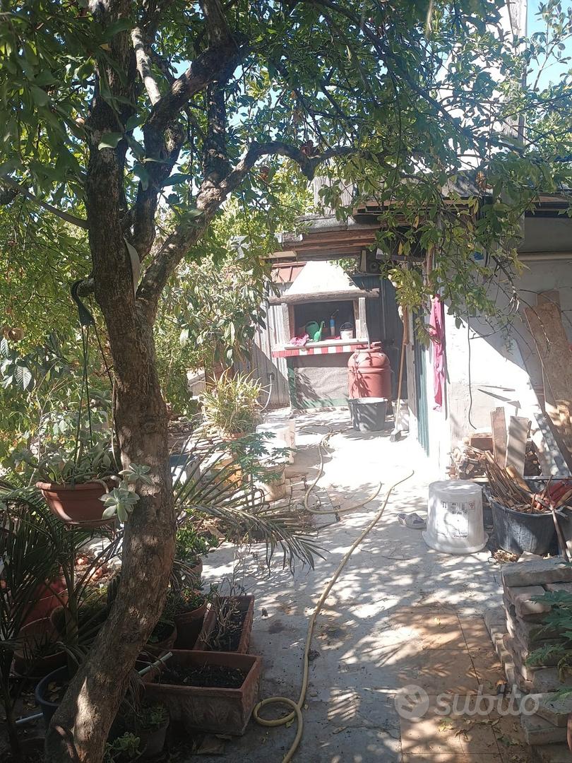 terreno agricolo - Vista 4