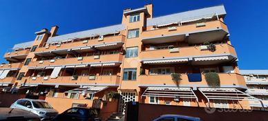 2 LOCALI A LADISPOLI