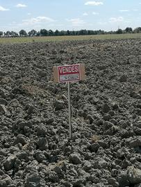 terreno agricolo tra Canaro e Fiesso umbertiano 