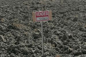 terreno agricolo tra Canaro e Fiesso umbertiano 
