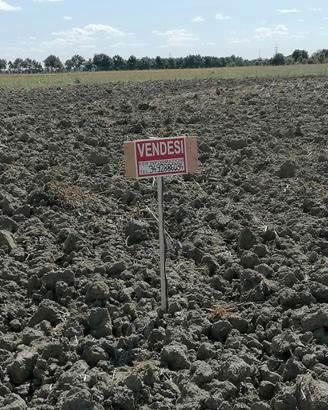 terreno agricolo tra Canaro e Fiesso umbertiano 