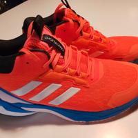 Scarpa volley Adidas Crazy Flight 6 mit indoor