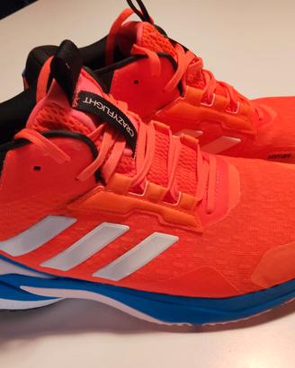 Scarpa volley Adidas Crazy Flight 6 mit indoor