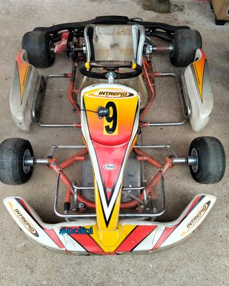 telaio go kart intrepid