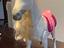 Immagine 2