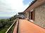 Immagine 7