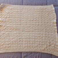 coperta carrozzina 