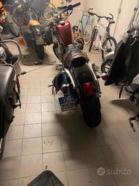 Harley Davidson Sportster XL883