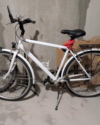 Bici uomo città
