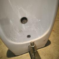 Bidet sospeso 