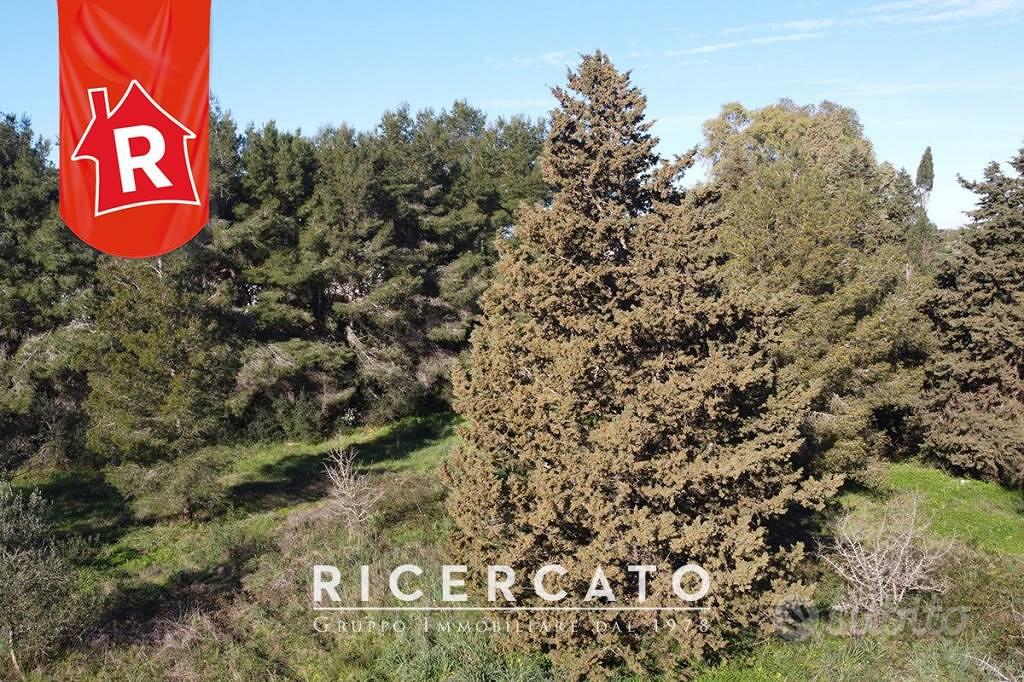 Terreno di 3600 m² a Lecce - Vista 5