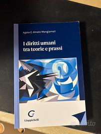 i diritti umani tra teorie e prassi